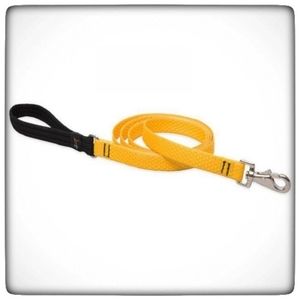 LUPINEPET ECO LEASH-Used
